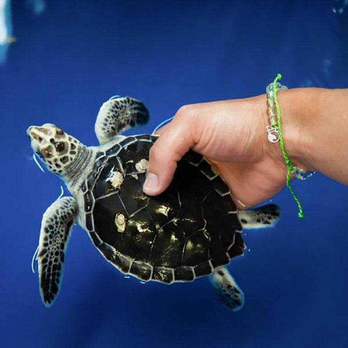 4Ocean : Sea Turtle Bracelet -