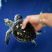 4Ocean : Sea Turtle Bracelet -
