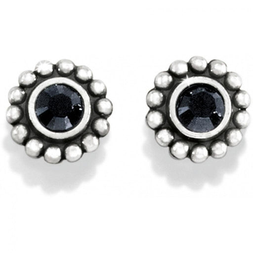 Brighton : Twinkle Mini Post Earrings in Black -