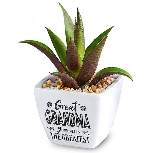 H & H Gifts : Succulent - Great Grandma - H & H Gifts : Succulent - Great Grandma