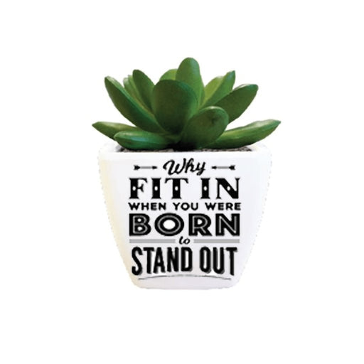 H & H Gifts : Succulent - Why Fit In -