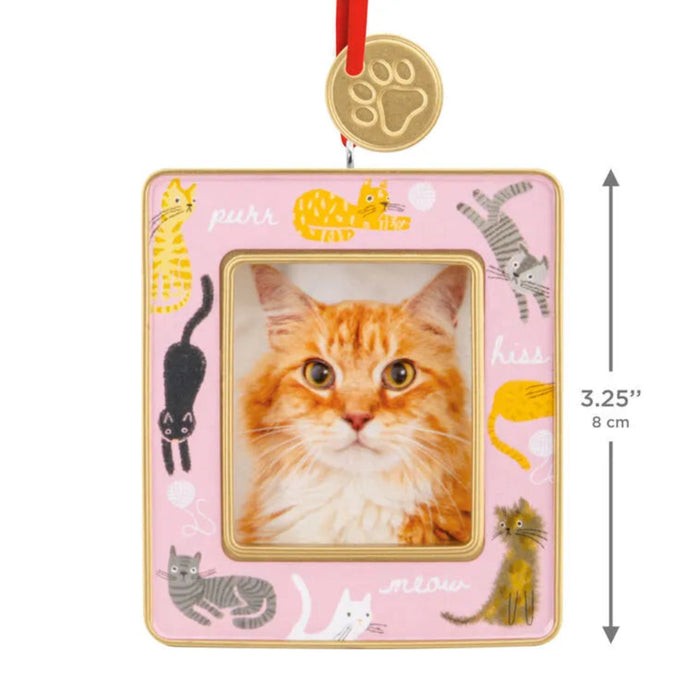 Cat-themed photo frame with a pink background and cat illustrations, featuring a ginger cat inside.