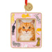Cat-themed photo frame with a pink background and cat illustrations, featuring a picture of an orange cat.