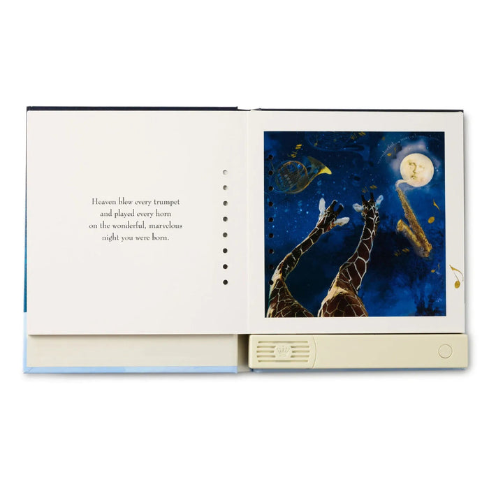Hallmark On the Night You Were Born Recordable Storybook - personalized baby keepsake gift