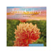 The Hallmark Sarah Young Jesus Calling 2027 12-Month Wall Calendar brings daily devotional wisdom to your wall. 