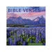 Hallmark Bible Verses 2027 Inspirational 12-Month Wall Calendar, 12x12, featuring uplifting Bible verses and a spacious monthly date grid.