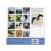 Hallmark On Eagles' Wings 2027 Inspirational 12-Month Wall Calendar with KJV Scripture, 12x12, featuring inspirational eagle imagery and Bible verses.