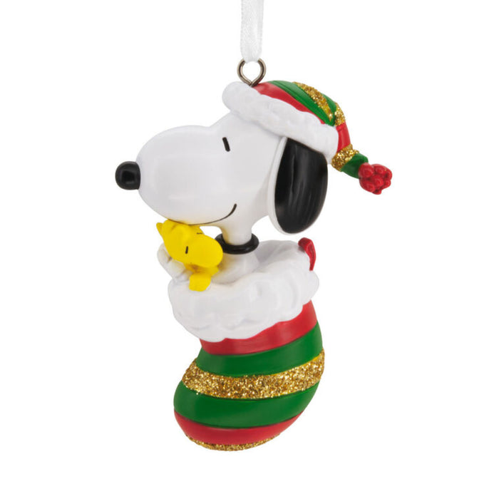 Peanuts Snoopy in the Christmas stocking