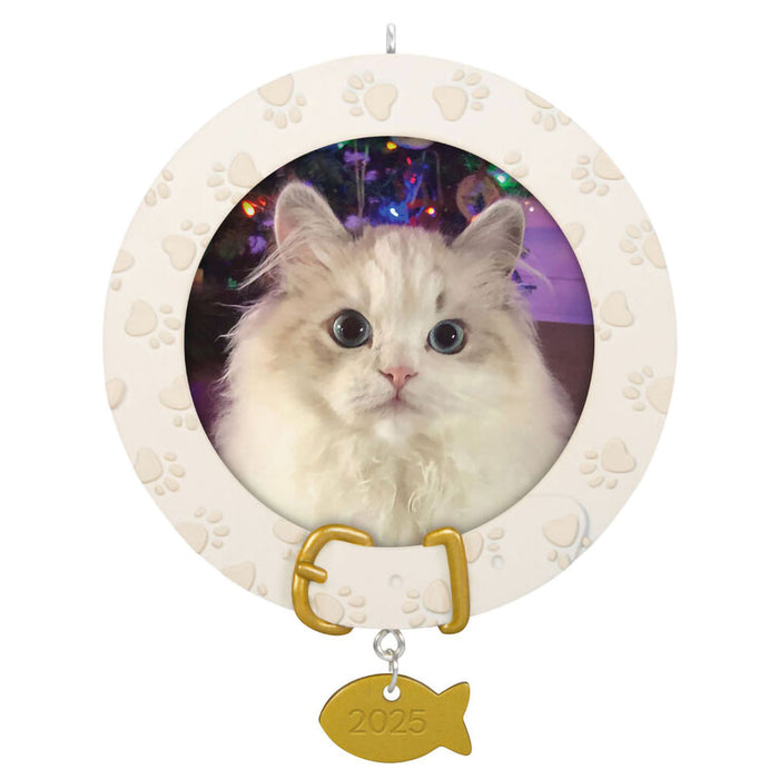 Hallmark : 2025 Keepsake Furry Friend 2025 Photo Frame Ornament (135) at Annie's Hallmark