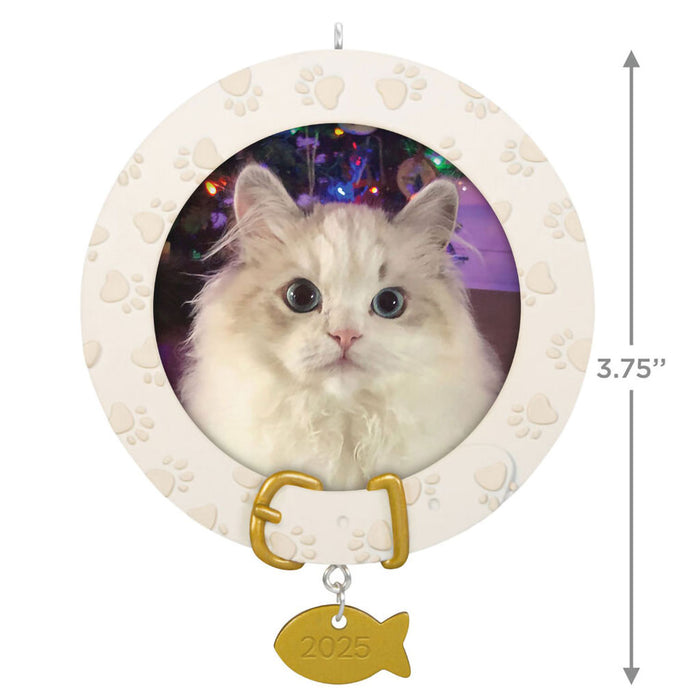Hallmark : 2025 Keepsake Furry Friend 2025 Photo Frame Ornament (135) at Annie's Hallmark