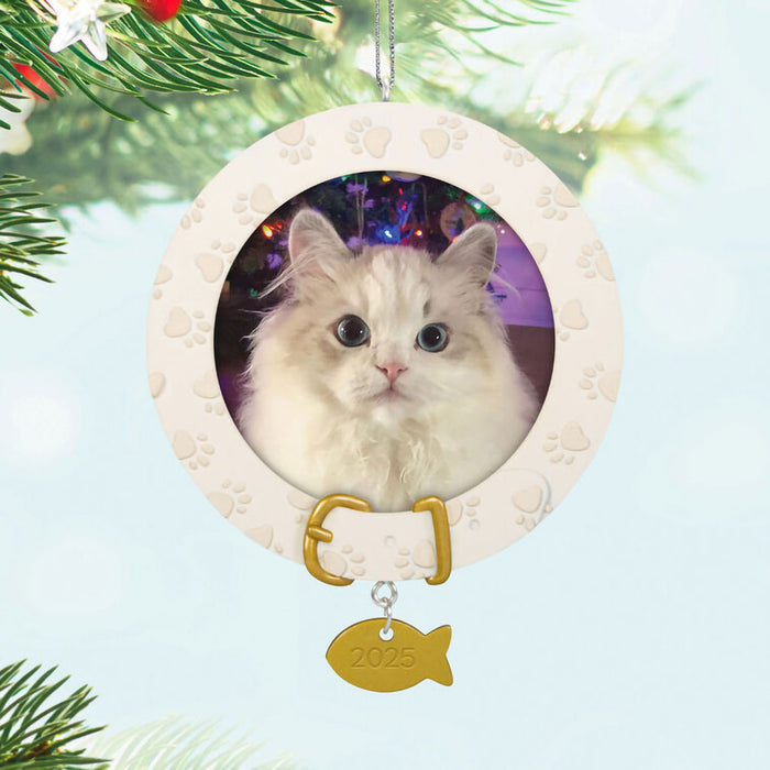 Hallmark : 2025 Keepsake Furry Friend 2025 Photo Frame Ornament (135) at Annie's Hallmark