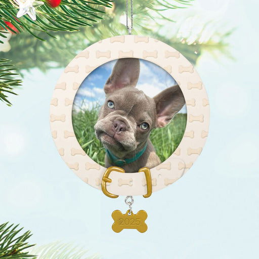 Hallmark : 2025 Keepsake Pet Collar With Bone Charm Frame Ornament (115) at Annie's Hallmark