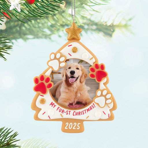 Hallmark : 2025 Keepsake My Fur-st Christmas 2025 Photo Frame Ornament (240) at Annie's Hallmark