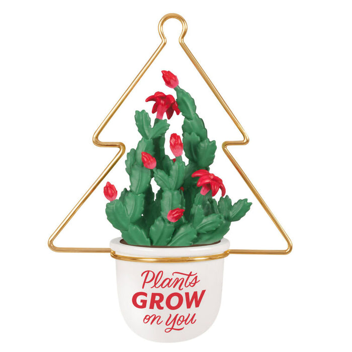 Hallmark : 2025 Keepsake Plants Grow on You Ornament (268) at Annie's Hallmark