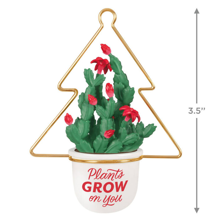 Hallmark : 2025 Keepsake Plants Grow on You Ornament (268) at Annie's Hallmark