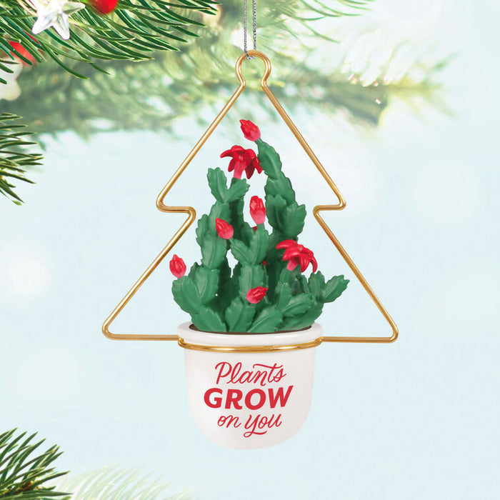 Hallmark : 2025 Keepsake Plants Grow on You Ornament (268) at Annie's Hallmark