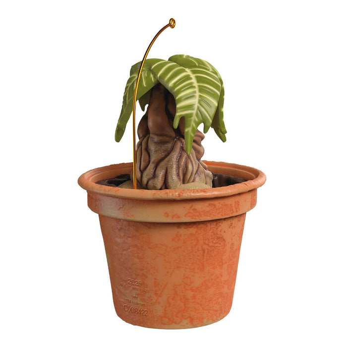 Hallmark : 2025 Keepsake Harry Potter™ Mandrake™ Ornament With Sound (221) at Annie's Hallmark