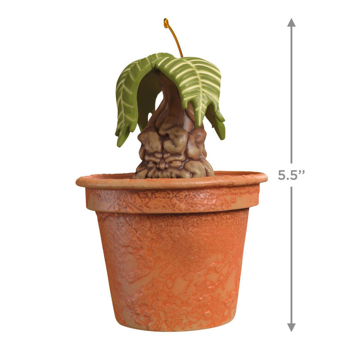Hallmark : 2025 Keepsake Harry Potter™ Mandrake™ Ornament With Sound (221) at Annie's Hallmark