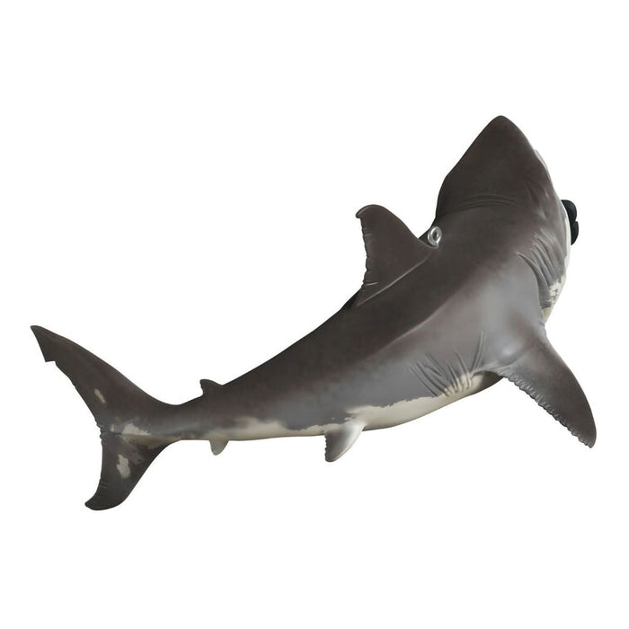 Hallmark : 2025 Keepsake Discovery™ Shark Week™ Ornament (300) at Annie's Hallmark