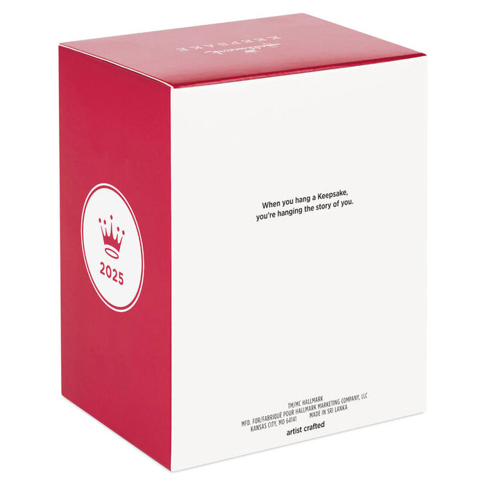 Hallmark : 2025 Keepsake Star Wars: Return of the Jedi™ A-Wing Fighter™ Ornament (39) at Annie's Hallmark