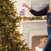 Hallmark : 2025 Keepsake Barbie™ Merriest Dreamhouse™ Musical Ornament With Light (227) at Annie's Hallmark