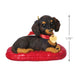 Hallmark : 2025 Keepsake Brown Dachshund Dog Keepsake Ornament (8) - Shop in-store at Annie's Hallmark locations in Londonderry and Salem, NH, or explore our full selection online.