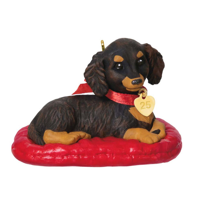 Hallmark : 2025 Keepsake Brown Dachshund Dog Keepsake Ornament (8) - Shop in-store at Annie's Hallmark locations in Londonderry and Salem, NH, or explore our full selection online.