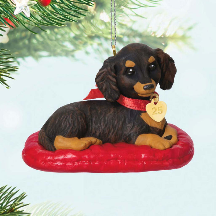 Hallmark : 2025 Keepsake Brown Dachshund Dog Keepsake Ornament (8) - Shop in-store at Annie's Hallmark locations in Londonderry and Salem, NH, or explore our full selection online.