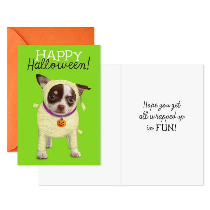 Halloween card with a dog in a costume and orange envelope on a white background