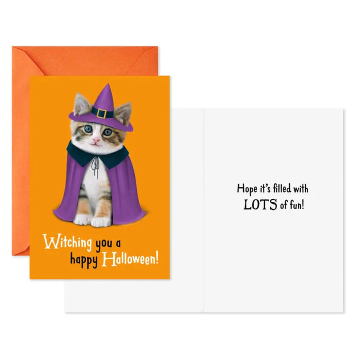 Halloween card with a cat in a witch costume on an orange background