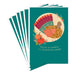 Stack of greeting cards with a turkey illustration and text on a teal background