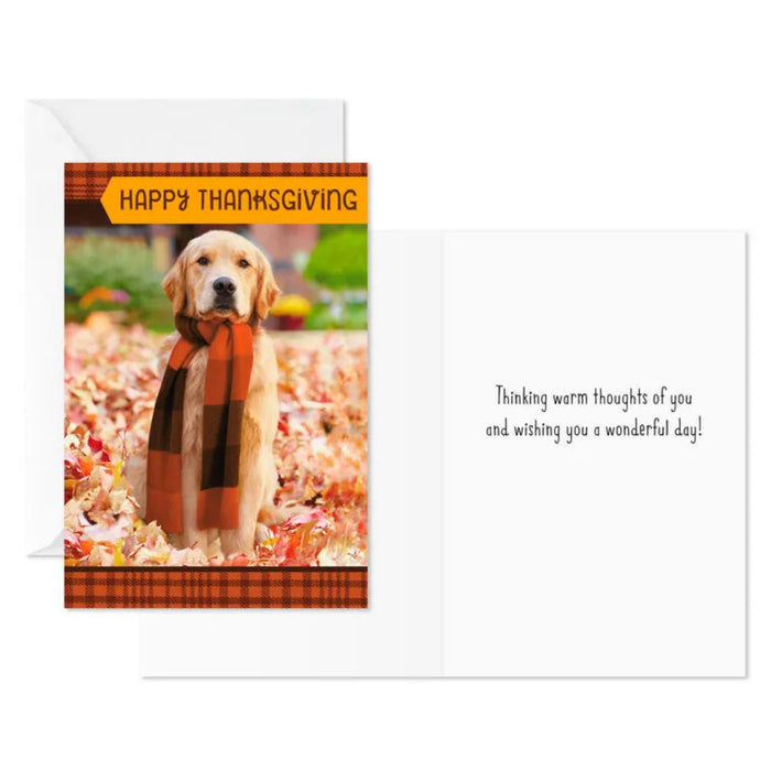 Thanksgiving card with a dog wearing a plaid scarf in an autumn setting