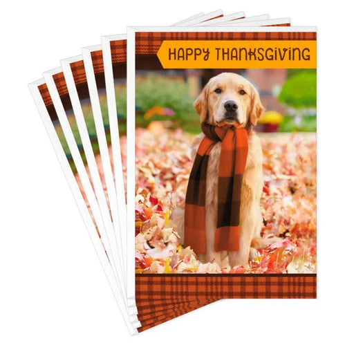 Set of Thanksgiving cards with a dog wearing a scarf in autumn leaves