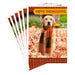 Set of Thanksgiving cards with a dog wearing a scarf in autumn leaves