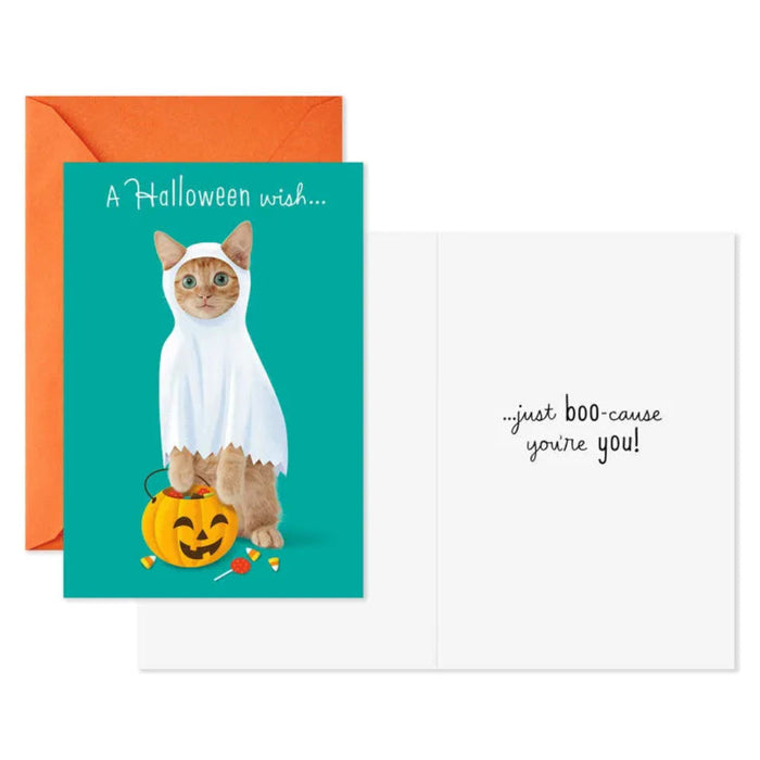 Halloween card with a cat in a ghost costume and pumpkin, orange envelope on a white background