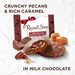 A Russell Stover coconut nest, featuring a milk chocolate exterior and a soft coconut center, presented on a white background.