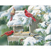 Cardinal and chickadee birds at a snowy bird feeder with 'Season's Greetings' text.