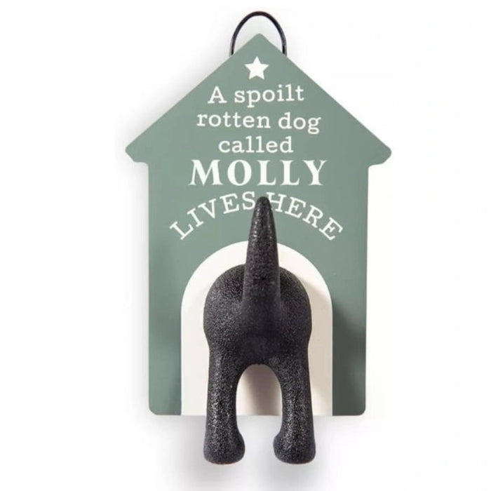  The History & Heraldry Personalised Dog Lead Hook for Molly mounts easily beside your front door