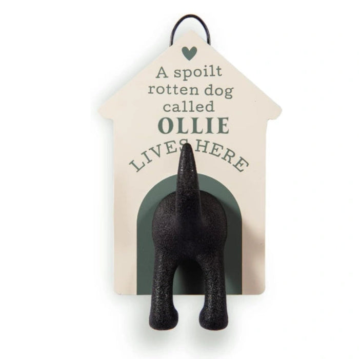 Celebrate Ollie every single day with this charming personalised dog lead hook. You mount it easily beside your front door.