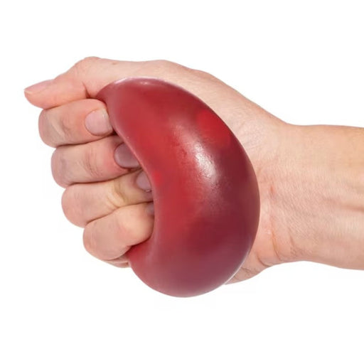 Fun Express : Color Changing Stress Ball