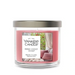 Home Sweet Home Signature Small Tumbler Candle in a reusable glass tumbler with a warm cinnamon and spice fragrance for a cozy home atmosphere.