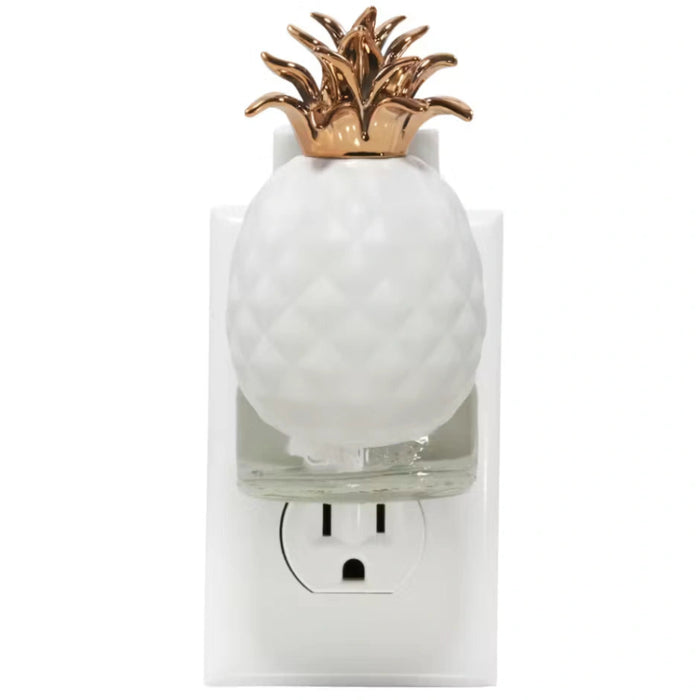 Simply plug it into any standard outlet to enjoy a welcoming aroma that freshens your space day and night.