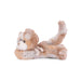 A soft, stuffed cat resting on a white background, highlighting its adorable features and gentle expression.