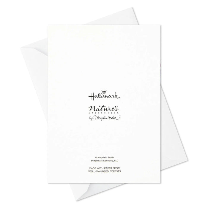 Hallmark Marjolein Bastin holiday boxed blank Christmas note cards assortment, 24 cards with nature-inspired winter artwork and matching envelopes