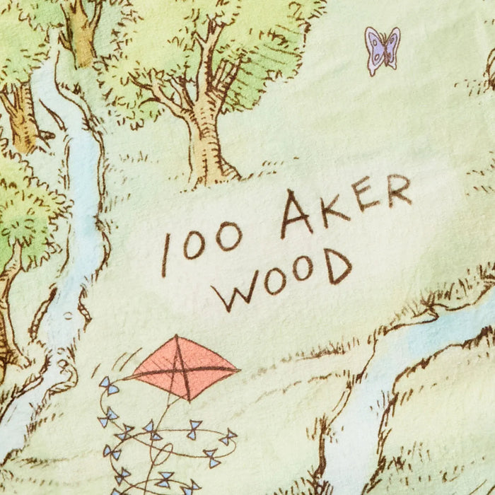 Close‑up of fleece blanket showing Hundred Acre Wood