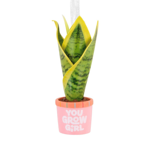 Enjoy a good lift me up house plant ornament.