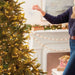 Hang the white dove on the tree for the holidays. 