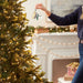 Hallmark Holiday Martini ornament featuring a festive martini glass design