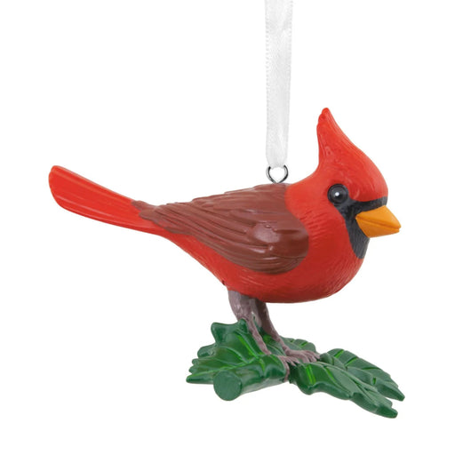 Hallmark Cardinal Bird ornament featuring a detailed red cardinal design for Christmas décor