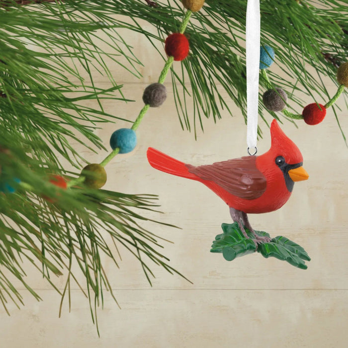 Hallmark Cardinal Bird ornament featuring a detailed red cardinal design for Christmas décor